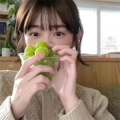 房子与狗