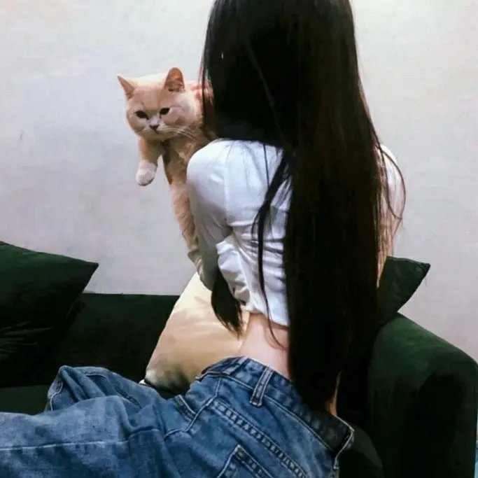 何以中国